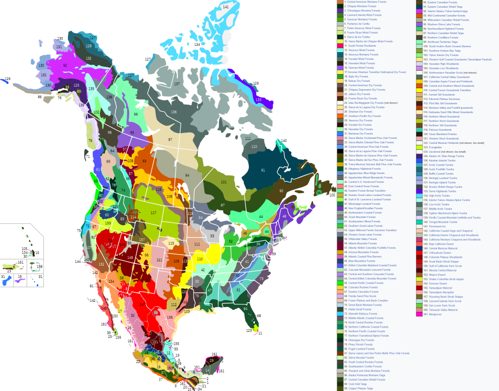 Mapa de las ecorregiones de Canadá, Estados Unidos y México.