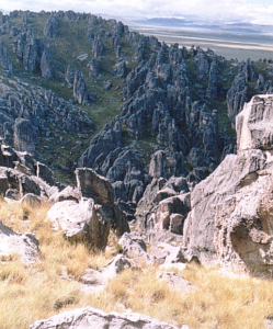 Bosque de Piedras de Huayllay.