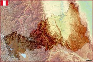 Mapa f&iacute;sico del departamento de Pasco