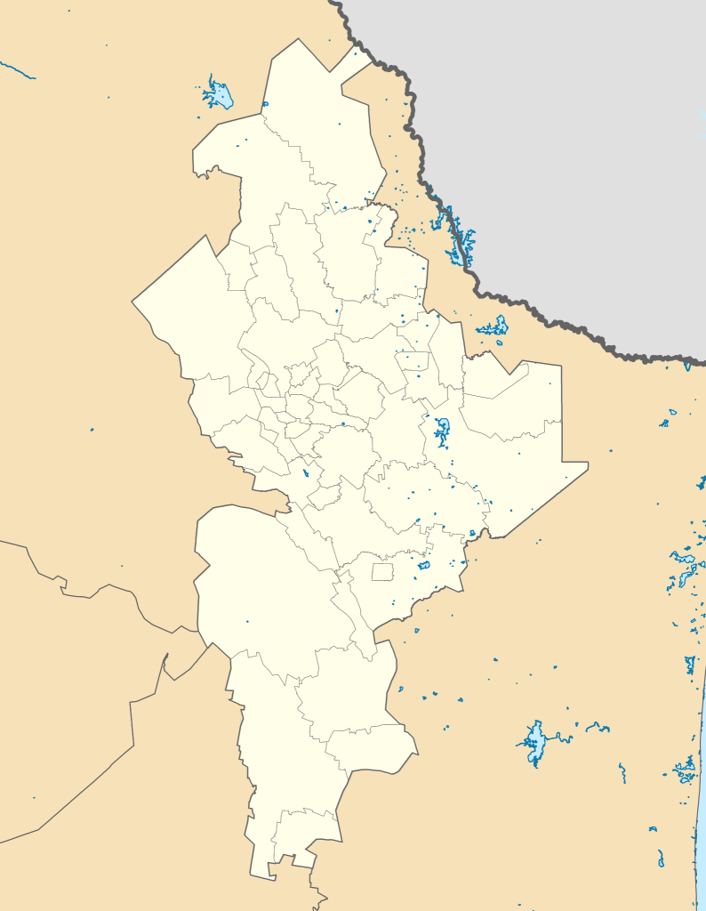 Mapa mudo de Nuevo León.
