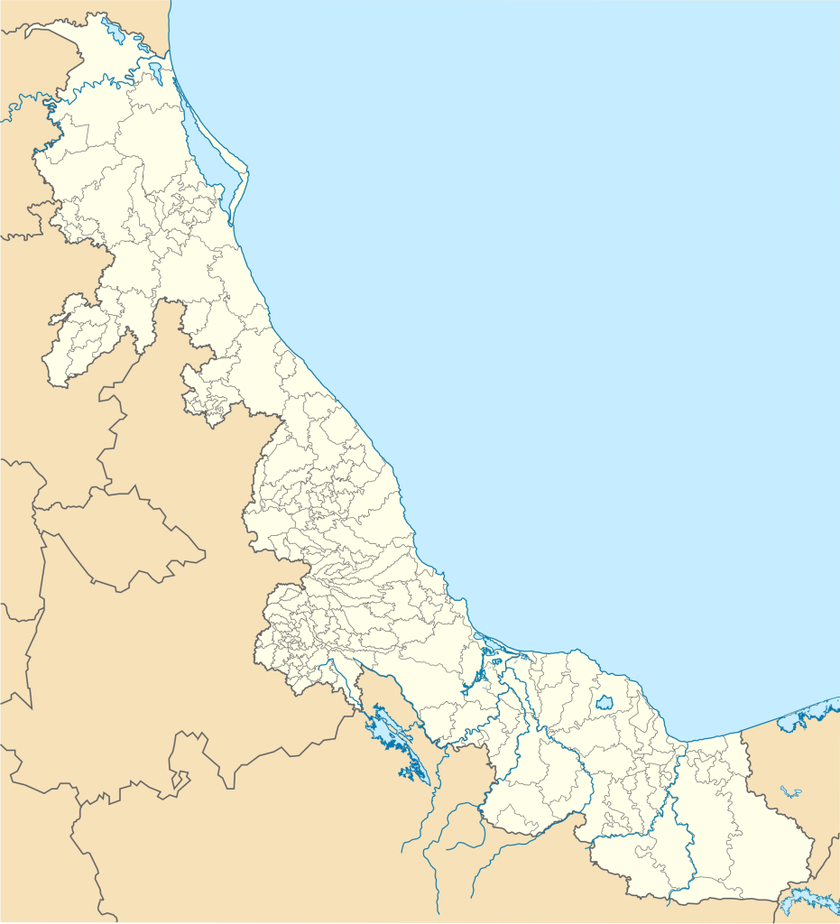 Mapa mudo del estado de Veracruz.