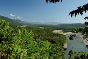 La selva amazónica en el Parque Nacional del Manú.