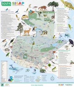 Mapa de atractivos turísticos en Guatemala.