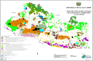 Mapa de la vegetación natural, ecosistemas terrestres y acuáticos de El Salvador. Mapa de la vegetación natural, ecosistemas terrestres y acuáticos de El Salvador.