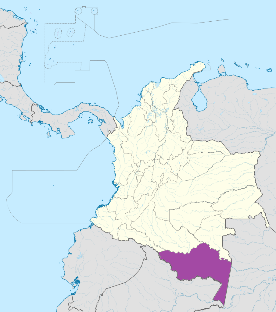 Mapa de ubicación del departamento del Amazonas en Colombia.