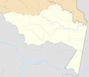 Mapa mudo del departamento del Amazonas (Colombia)