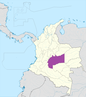 ¿Dónde se encuentra el departamento del Meta?