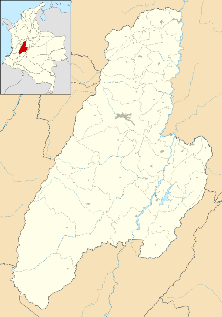 Mapa mudo del departamento del Tolima.