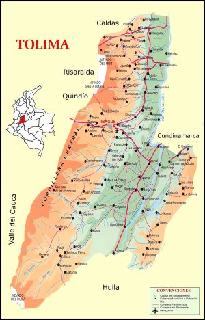 ¿Cuáles son las principales ciudades del Tolima?