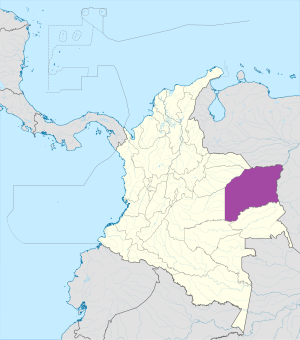 ¿Dónde se encuentra el departamento del Vichada?