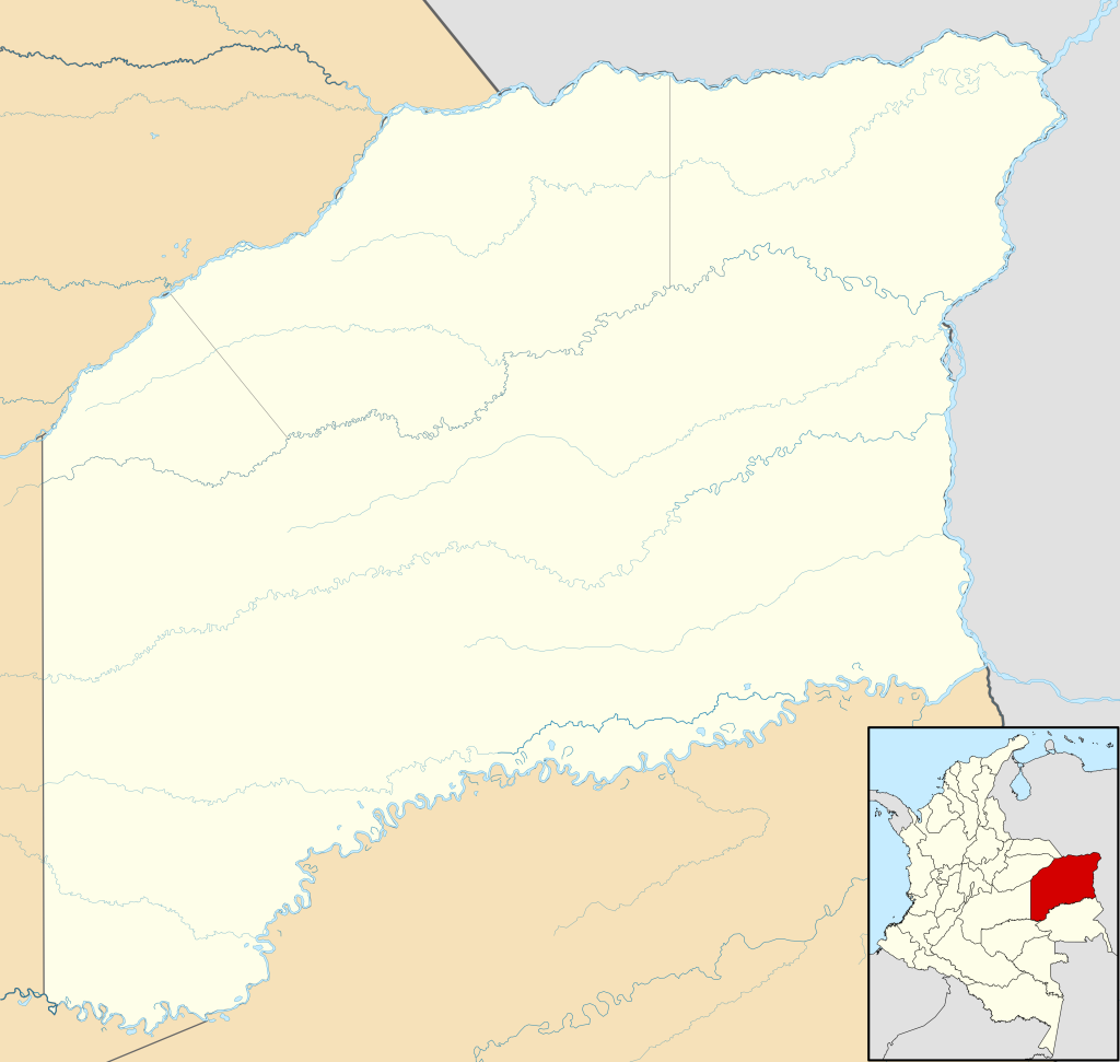 Mapa mudo del departamento del Vichada.