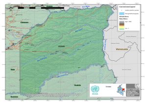 Mapa topográfico del departamento del Vichada.