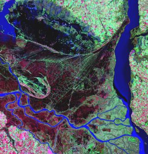 Delta del río Paraná en Argentina