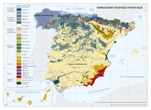 Mapa de las formaciones vegetales potenciales de España 2009. 