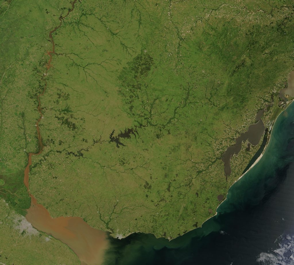 Imagen satelital de Uruguay.