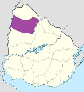 Mapa de ubicación del departamento de Salto.