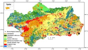 Principales tipos de cobertura vegetal en Andalucía.