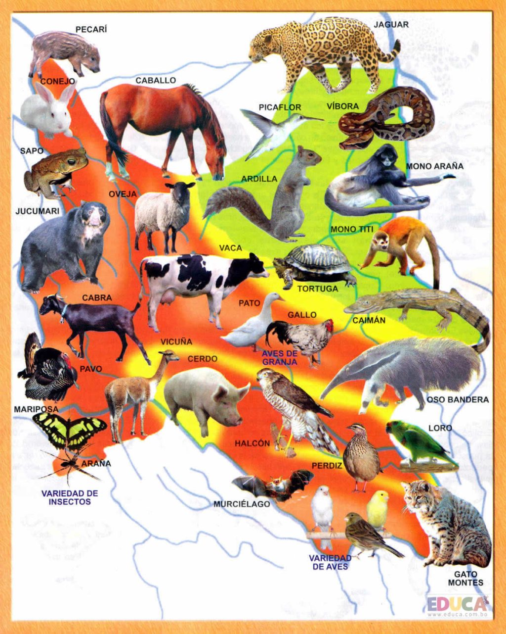 Mapa pictórico de la fauna del departamento de Cochabamba.