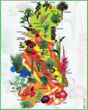 Mapa de la flora del departamento de La Paz (Bolivia)