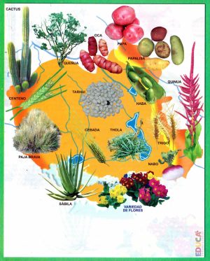 Mapa pictórico de la flora del departamento de Oruro
