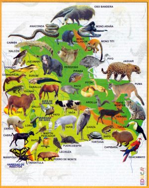 Mapa de la fauna del departamento de Santa Cruz (Bolivia)