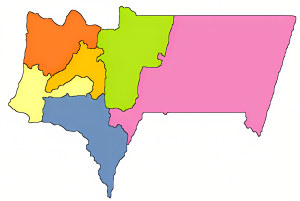 Mapa mudo coloreado del departamento de Tarija.