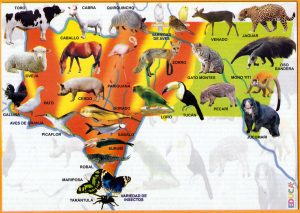 Mapa pict&oacute;rico de la fauna del departamento de Tarija