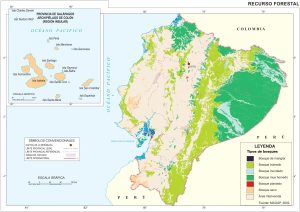 Recursos forestales del Ecuador
