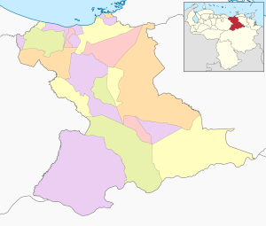 Mapa mudo coloreado del estado Anzo&aacute;tegui.