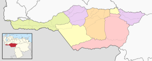 Mapa mudo coloreado del estado Apure.