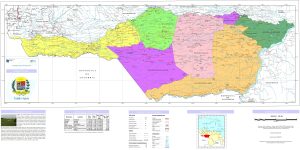 Mapa pol&iacute;tico del estado Apure