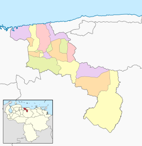 Mapa mudo coloreado del estado Aragua.