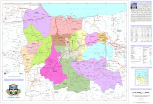 Mapa pol&iacute;tico del estado Carabobo