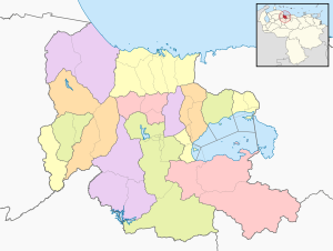 Mapa mudo coloreado del estado Carabobo.