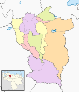 Mapa mudo coloreado del estado Cojedes.