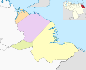 Mapa mudo coloreado del estado Delta Amacuro.