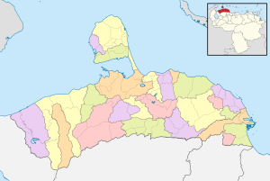 Mapa mudo coloreado del estado Falc&oacute;n.