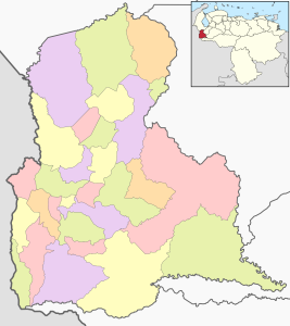 Mapa mudo coloreado del estado T&aacute;chira.