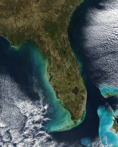 Imagen satelital de Florida.