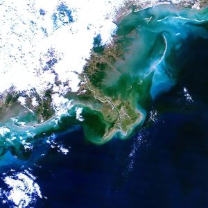 El delta del Misisipi, 24 de febrero de 2000.