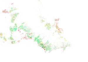 Distribuci&oacute;n racial y &eacute;tnica en Honolulu