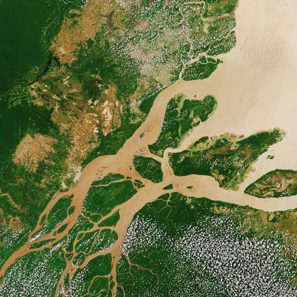 Imagen satelital del delta del Amazonas.