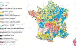 Mapa litol&oacute;gico de la Francia metropolitana.