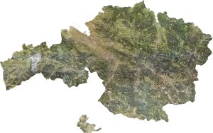 Ortoimagen de la provincia de Vizcaya