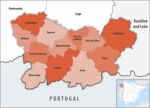 ¿Cuáles son las comarcas de la provincia de Orense?