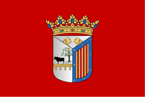 Bandera de la ciudad de Salamanca