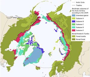 Subzonas bioclimáticas de la región ártica